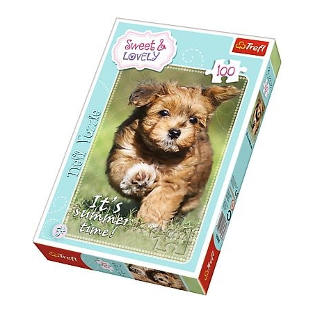 PUZZLE TREFL 100 Zabawa Latem